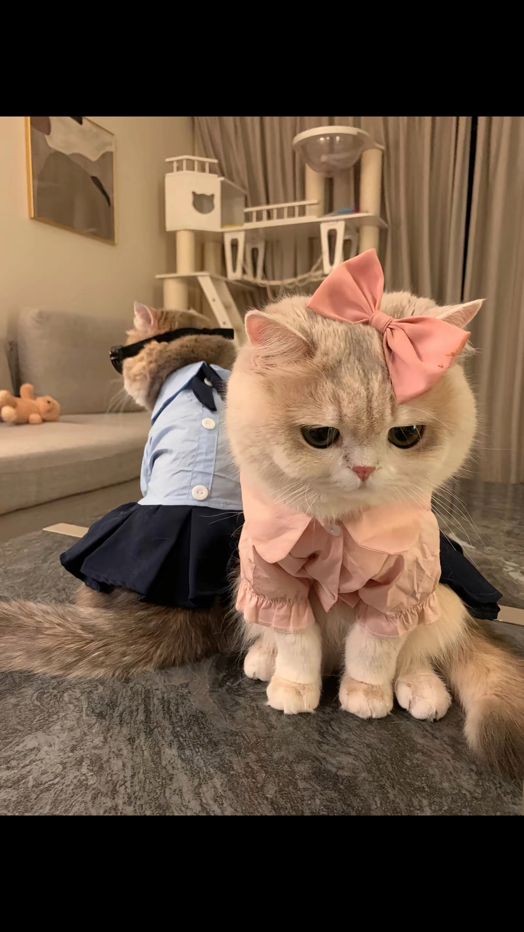 情侣头像之生气版