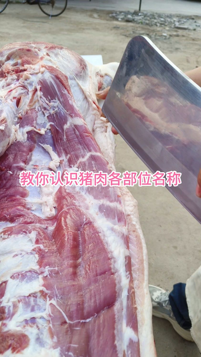 教你认识猪肉各部位名称