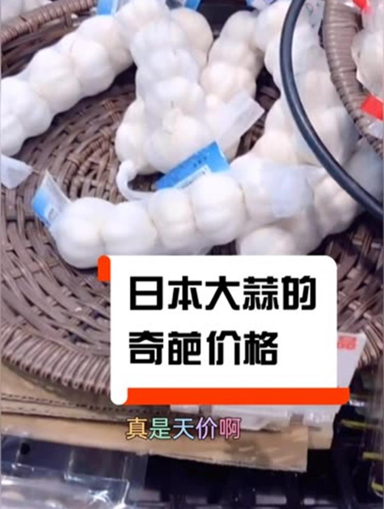 日本水果蔬菜贵也就算了,这个大蒜有什么出奇呢?