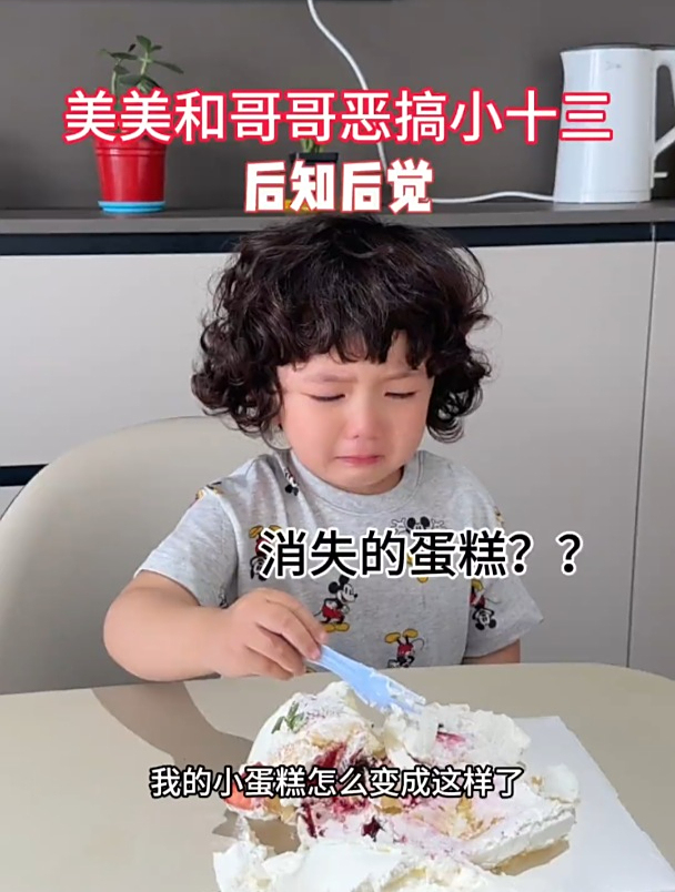 消失的蛋糕?美美和哥哥恶搞,小十三后知后觉