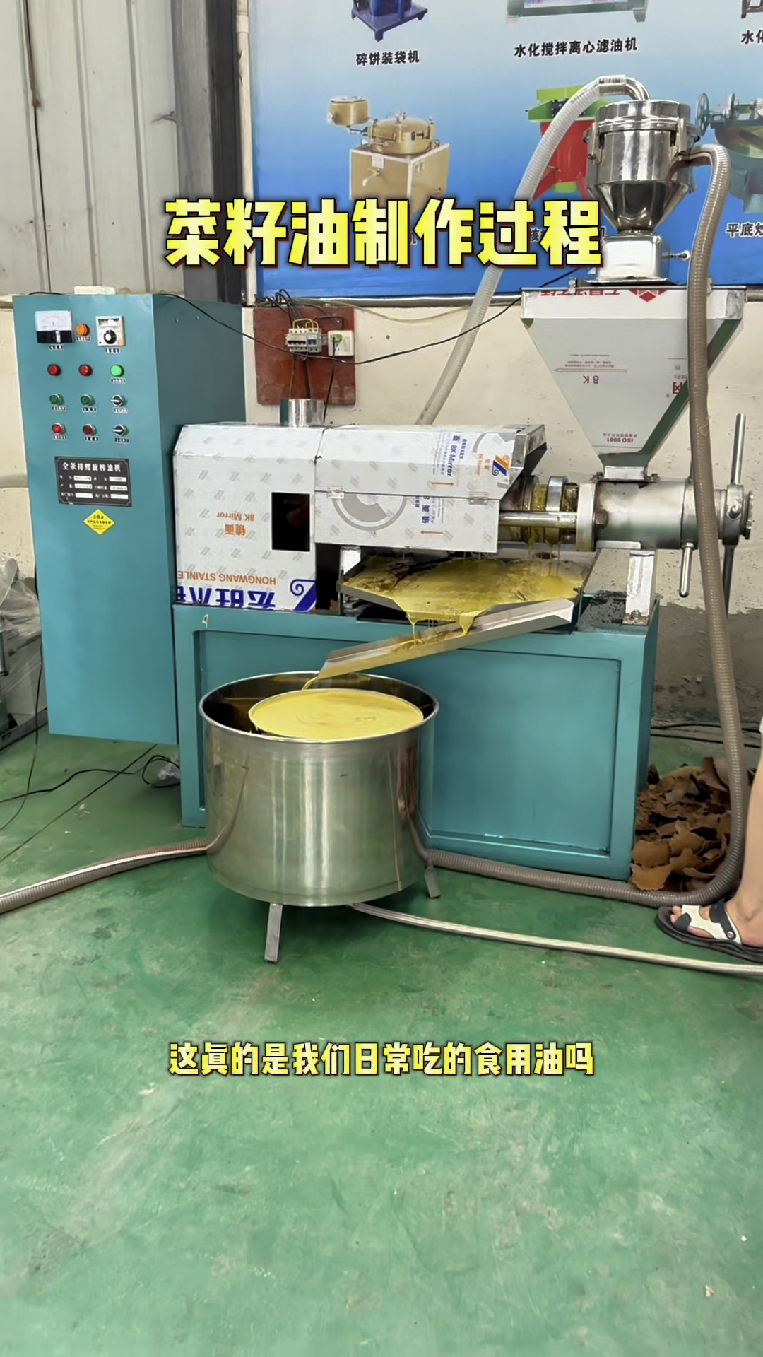 菜籽油制作过程,榨油机,螺旋榨油机