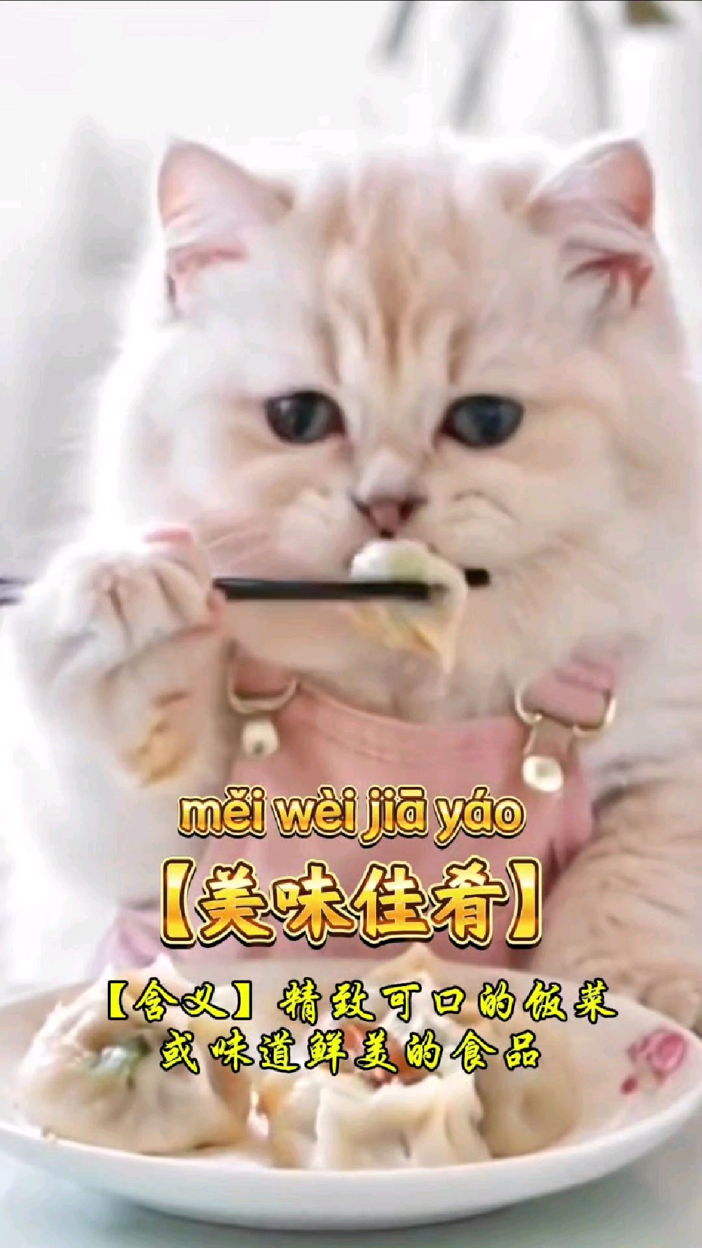 第13集 | 把生活中动物的美好瞬间成语化,学习起来更有画面感。