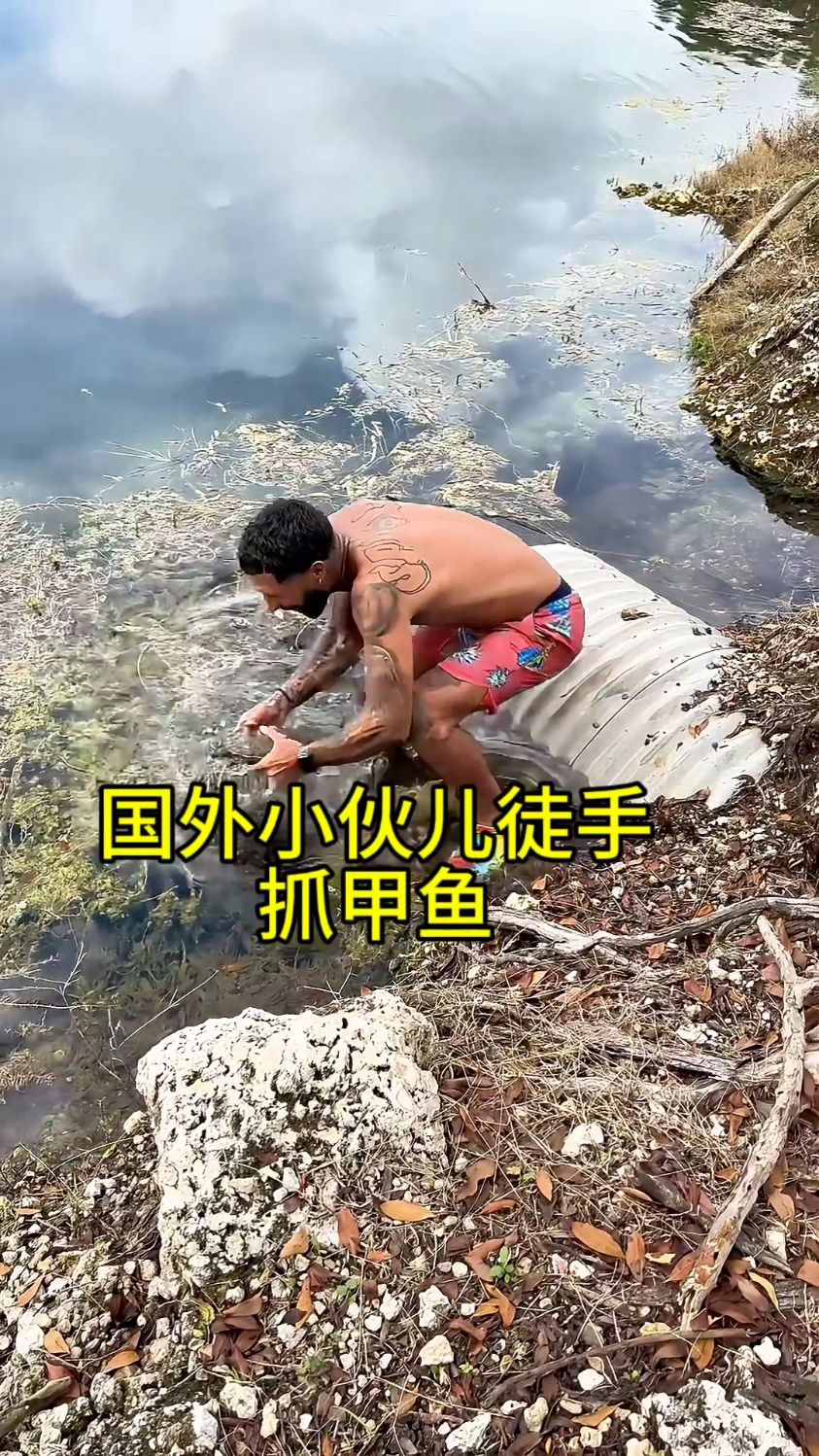 国外小伙儿真厉害,在河边徒手抓甲鱼!