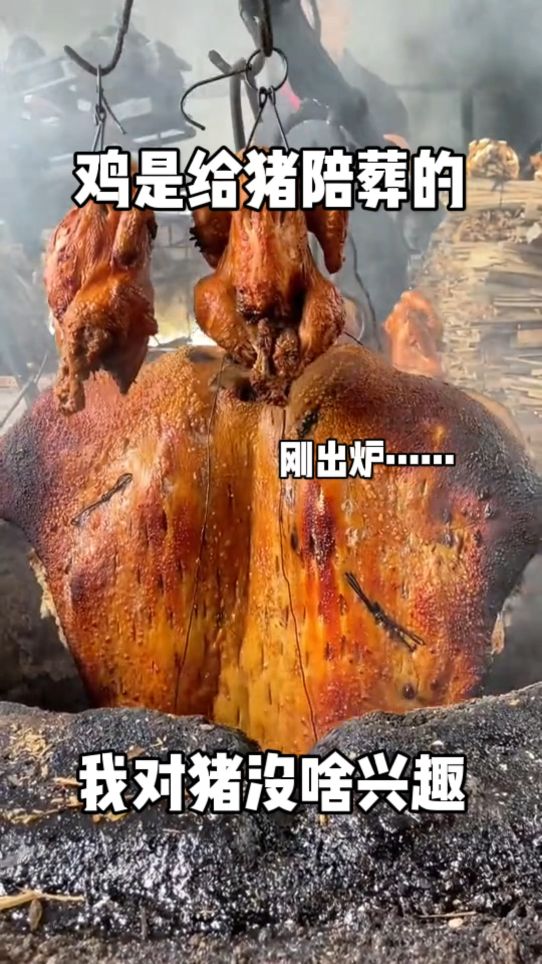 鸡是给猪陪葬的!我对猪没啥兴趣,鸡和猪一起烤?