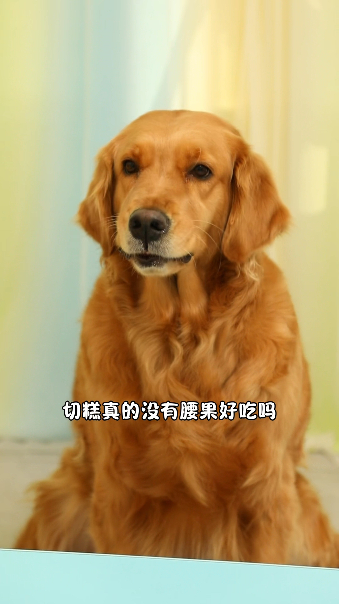 可是奶茶只有一盒黑芝麻丸了