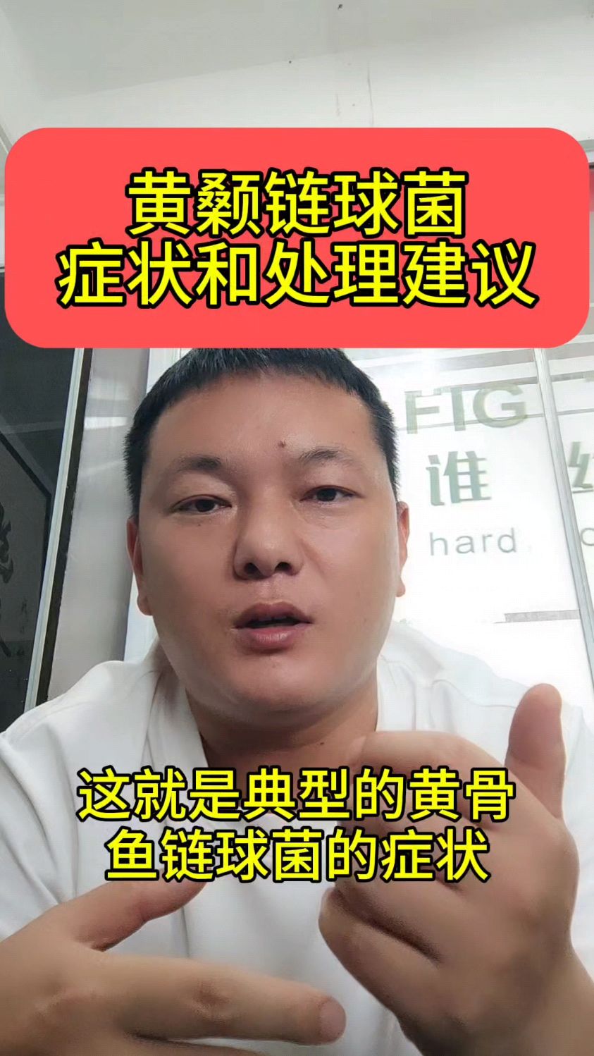 黄颡鱼链球菌郑州和处理建议