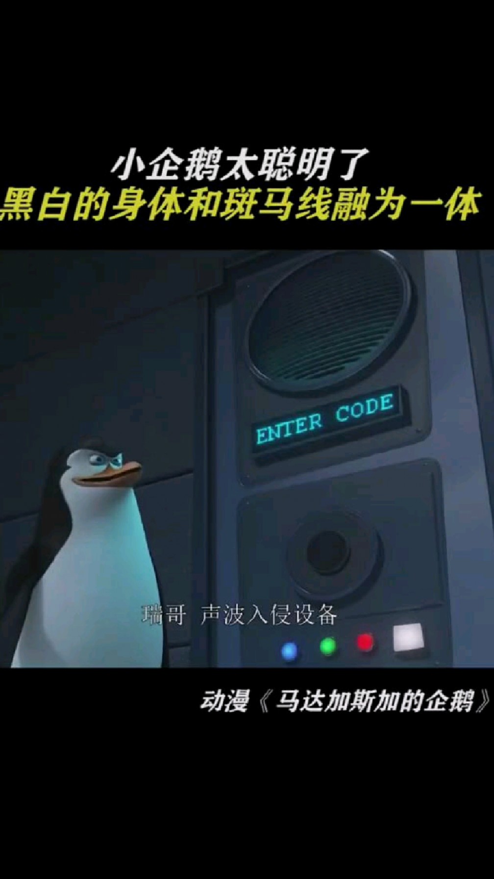 小企鹅真的是太聪明