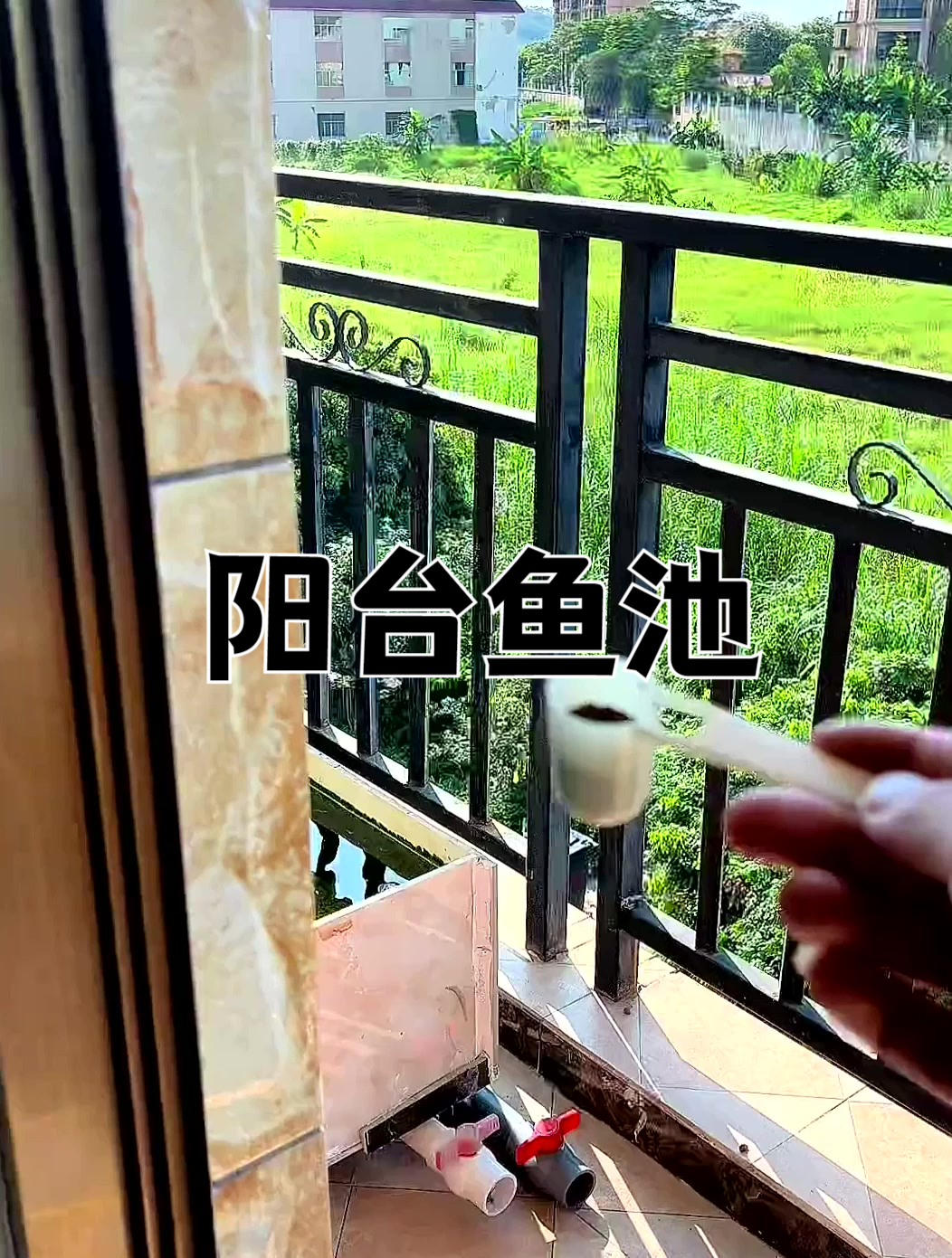 装修剩下的瓷砖,在阳台砌了个小鱼池,这操作厉害了
