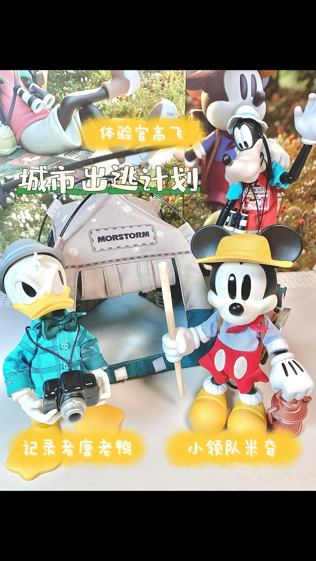 逃离城市,一起露营,你说City不City,啊!