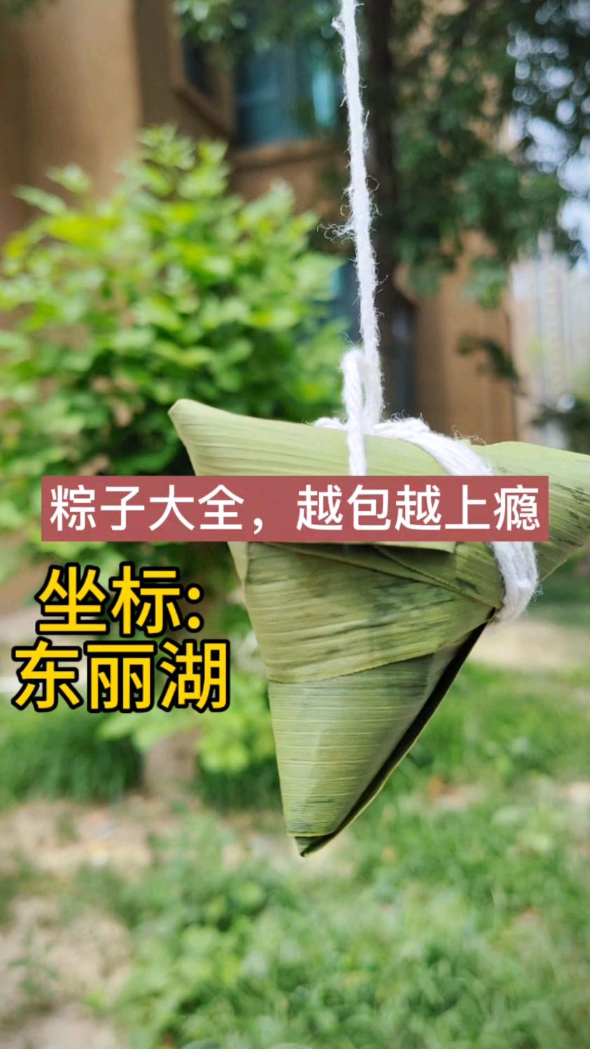 粽子大全主页存着