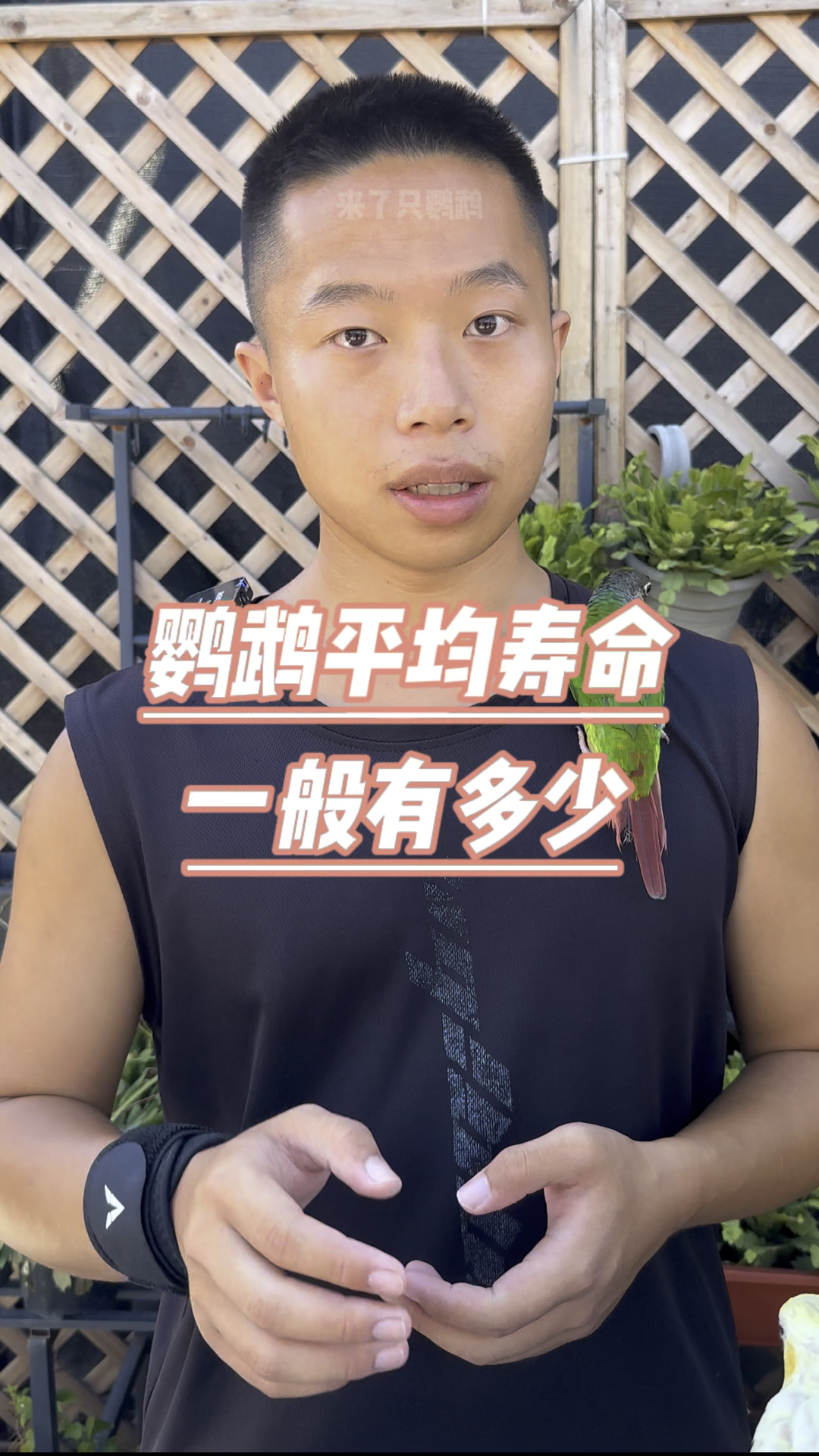 鹦鹉平均寿命