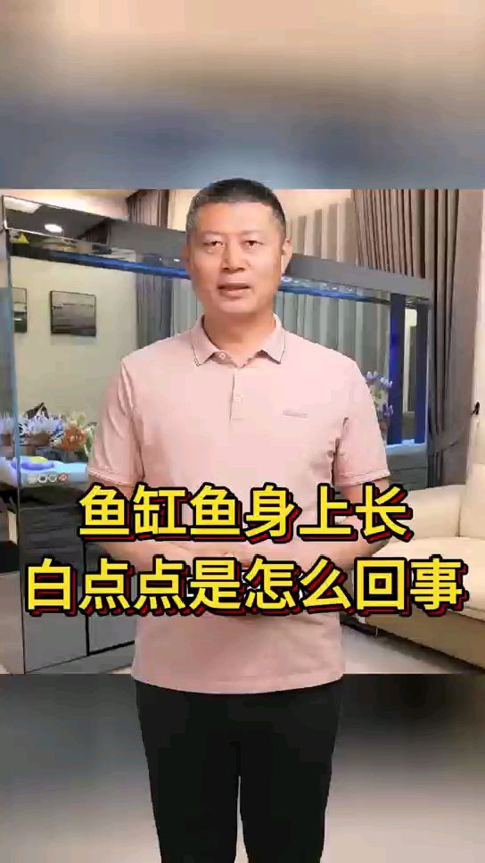 鱼缸鱼身上长白点点是怎么回事