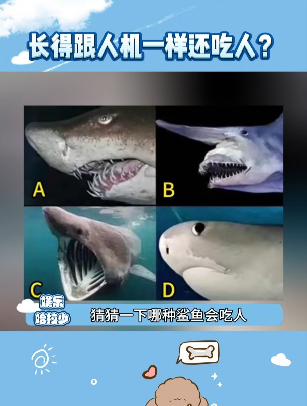 长得跟手套一样还吃人?居氏鼬鲨 万万没想到 冷知识