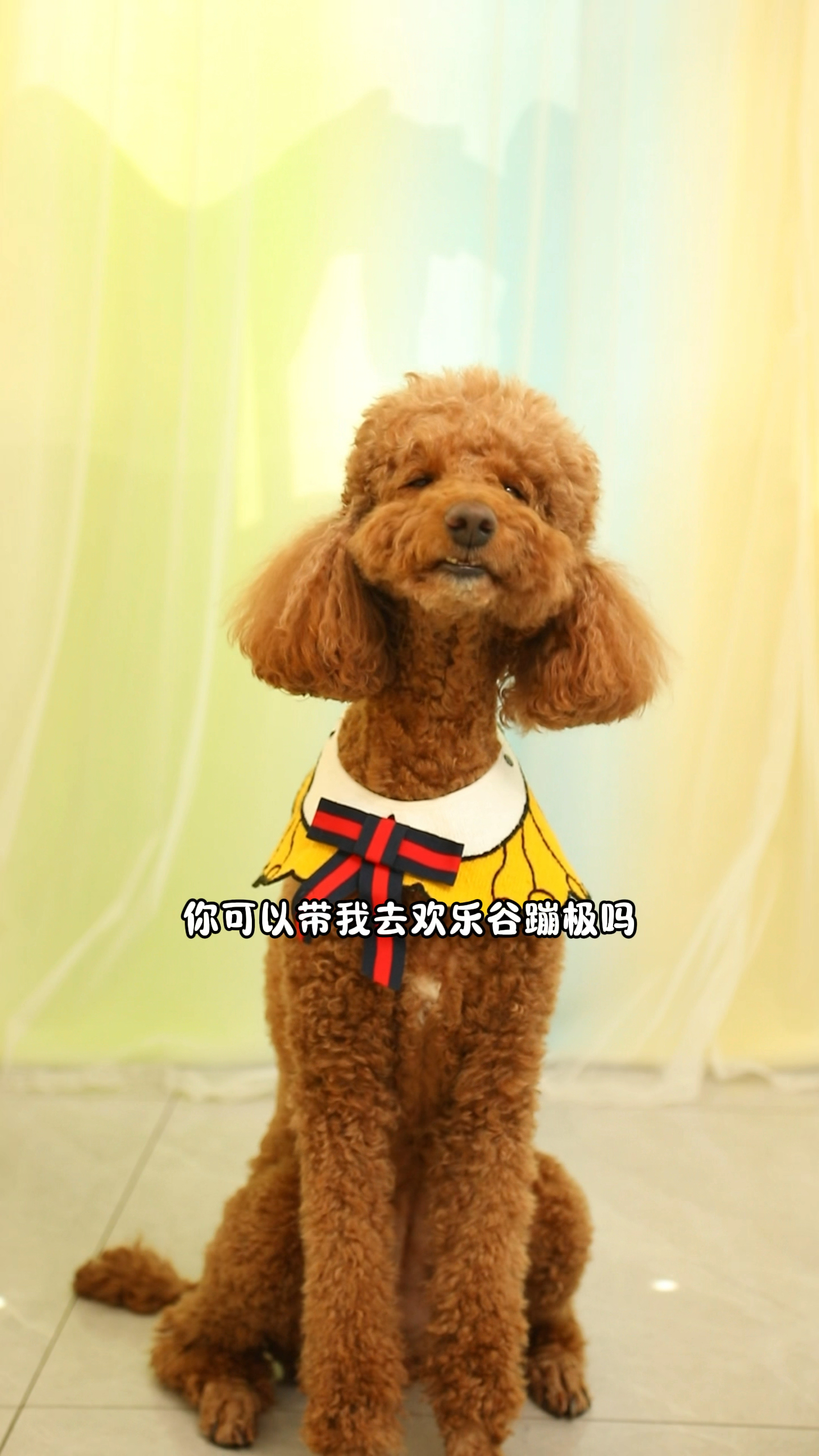 虾条真的不好吃吗