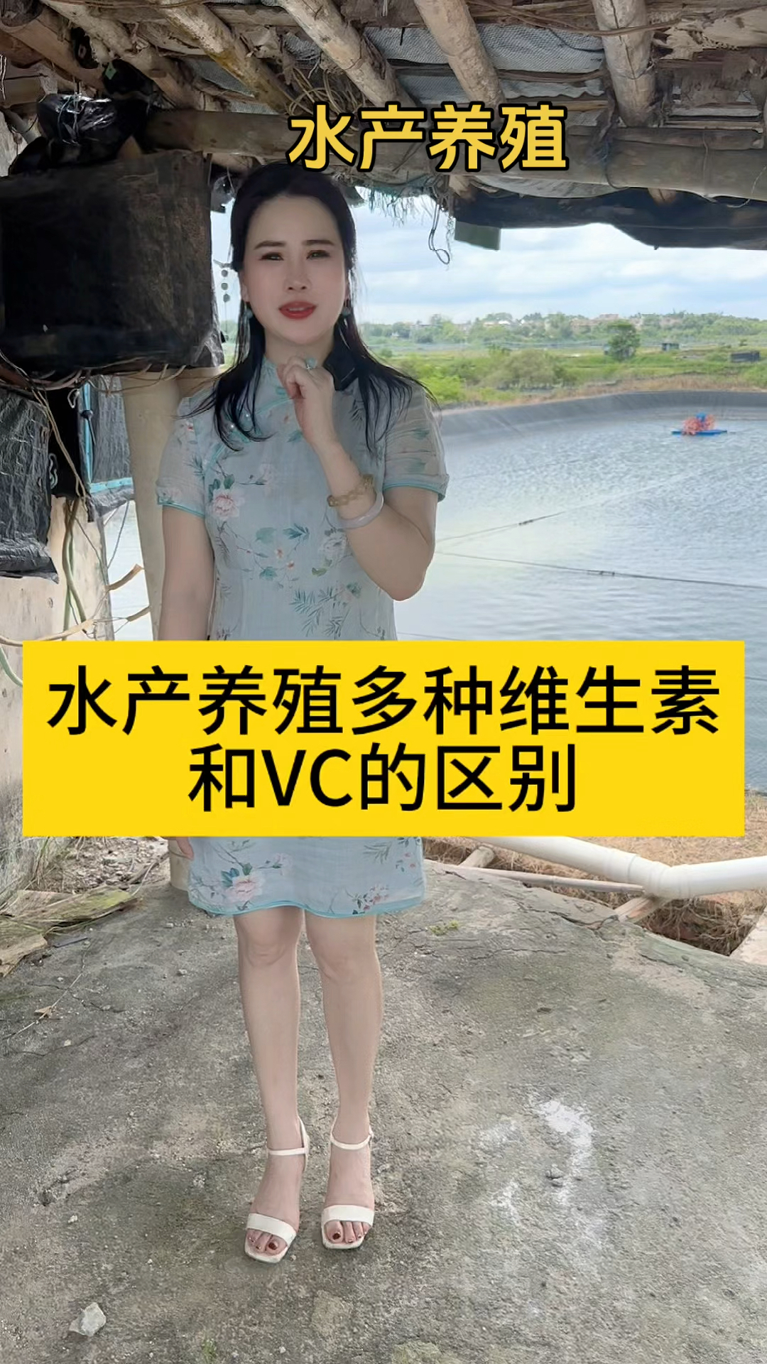 养虾技术,水产养殖多种维生素和VC的区别#南美白对虾养殖