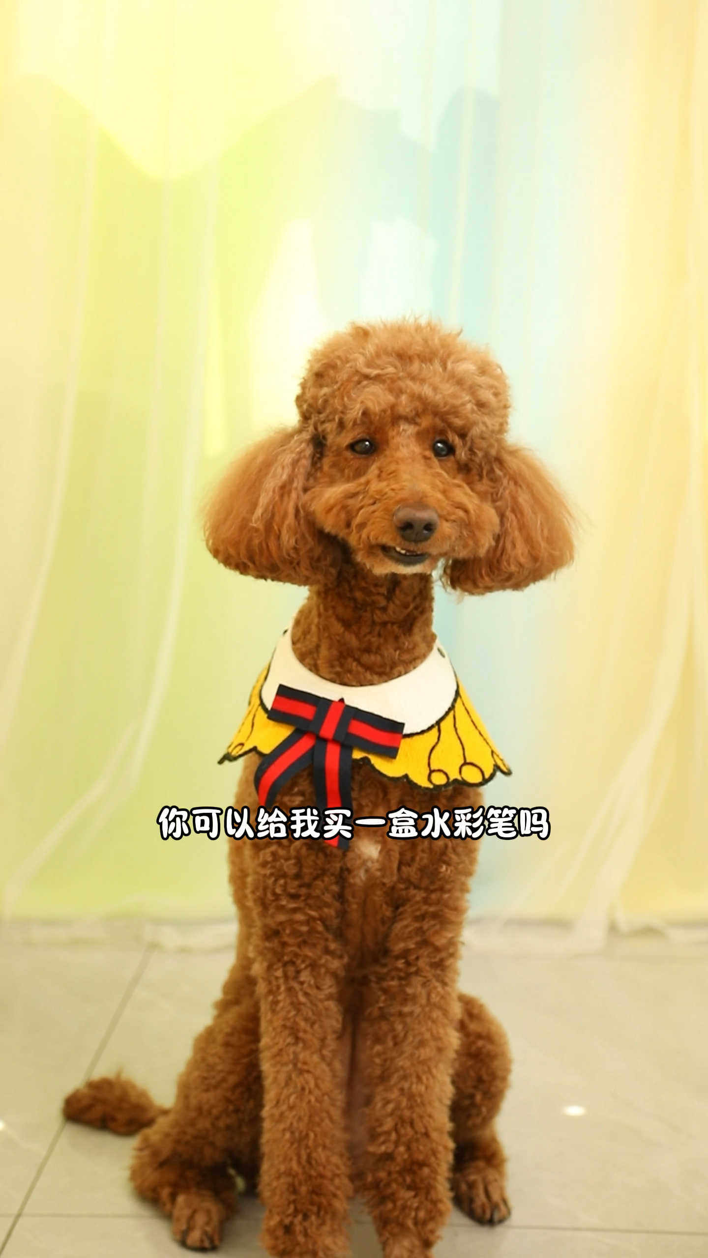 沙丁鱼真的很好吃吗