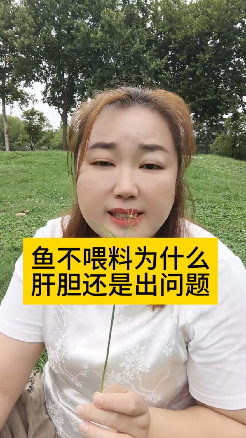 鱼不喂料为什么肝胆出问题
