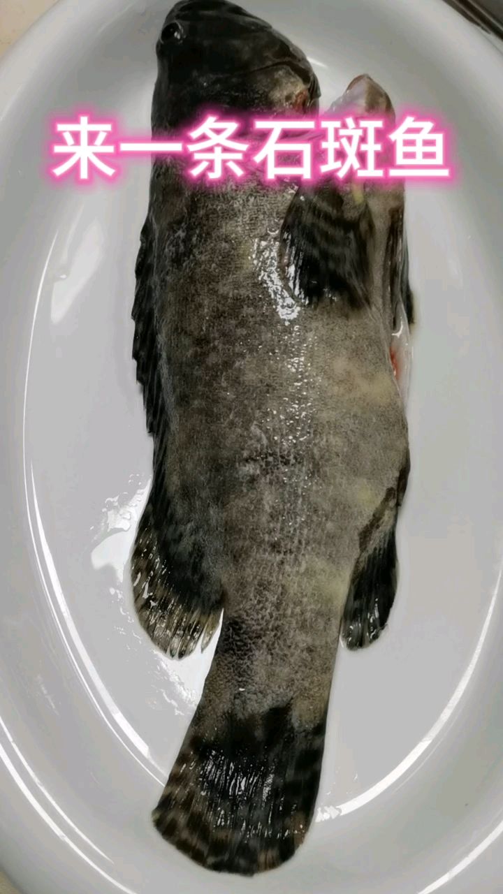 清蒸石斑鱼,做法