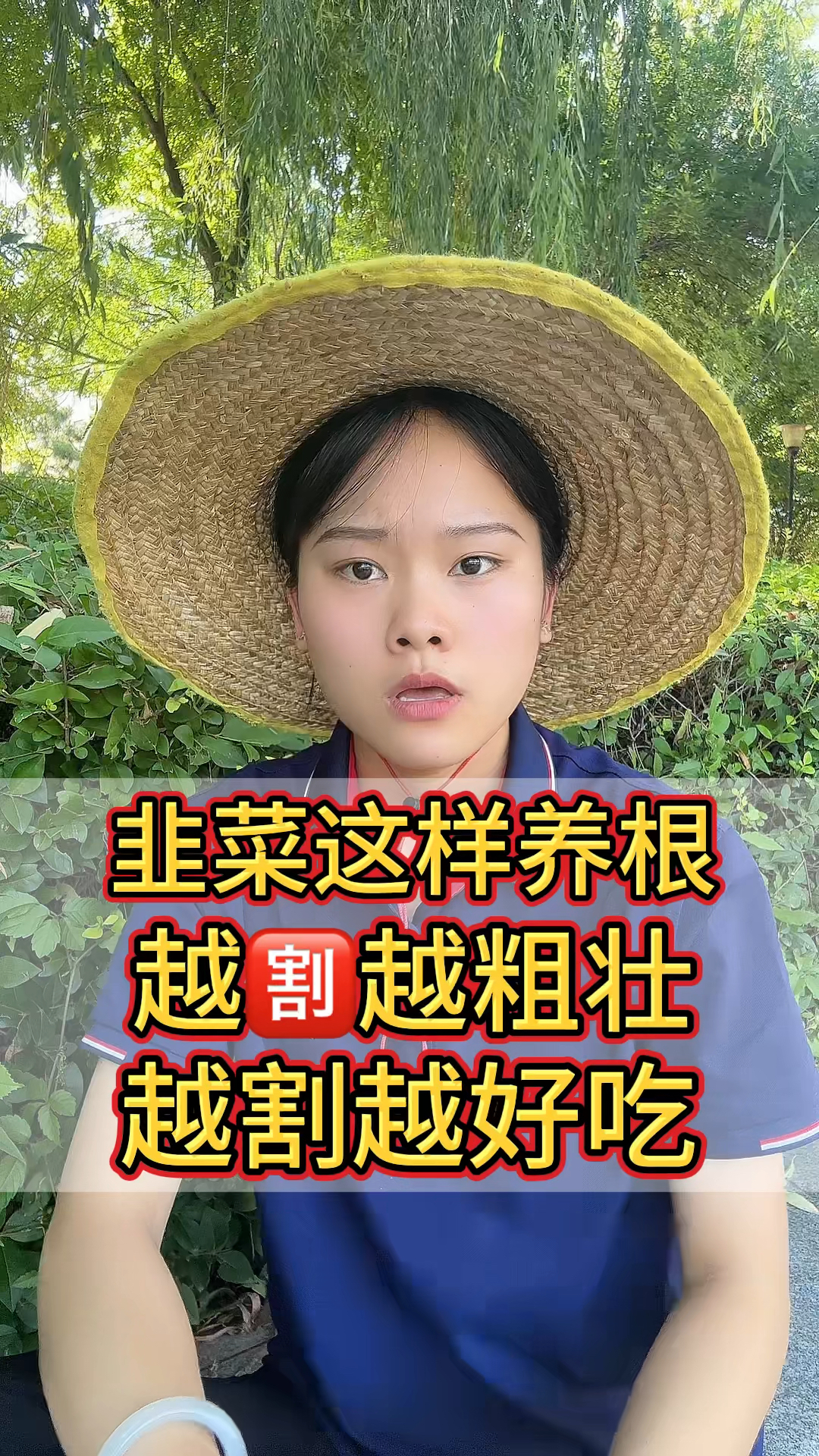 韭菜这样养根 越越粗壮 越割越好吃