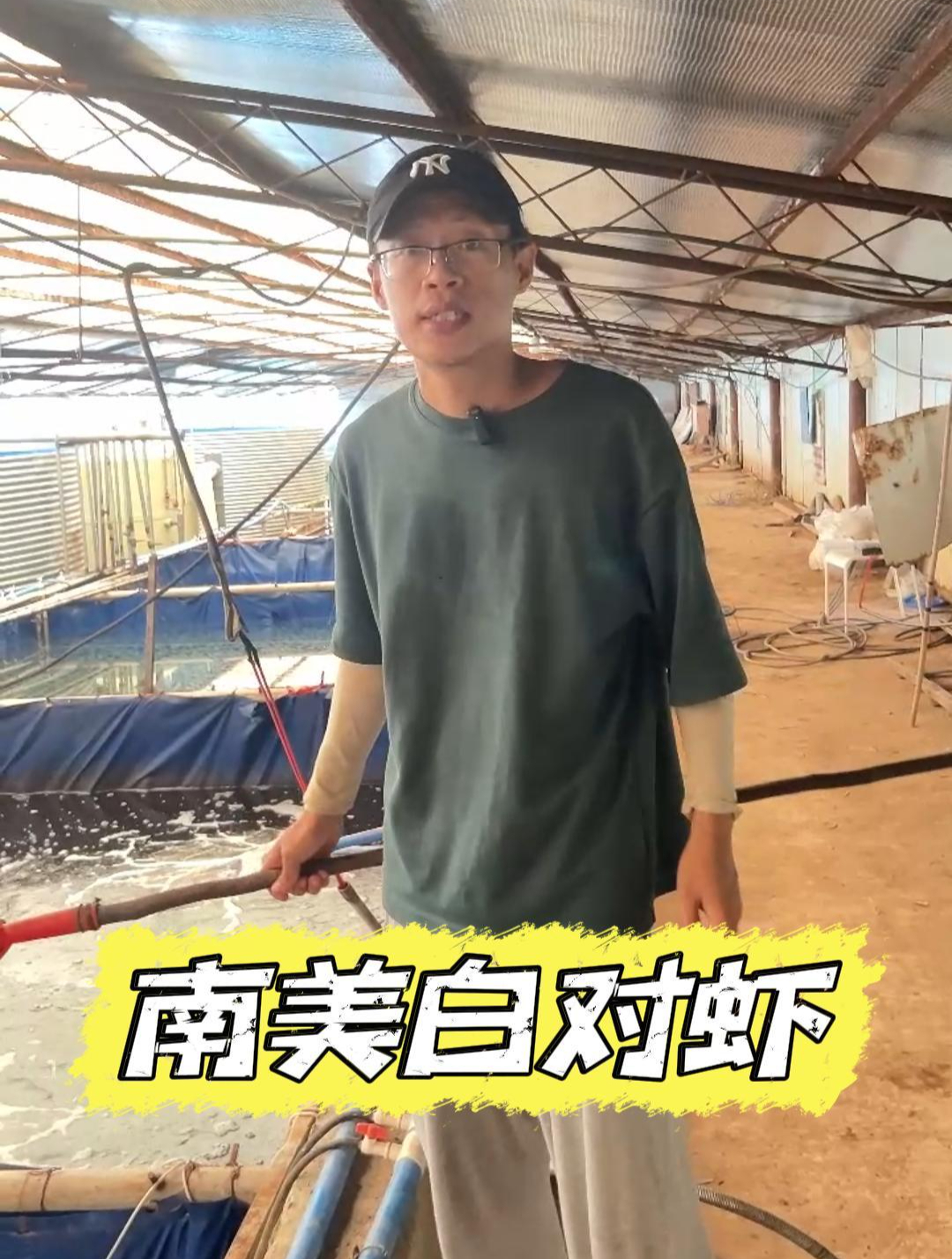 南美白对虾养殖!