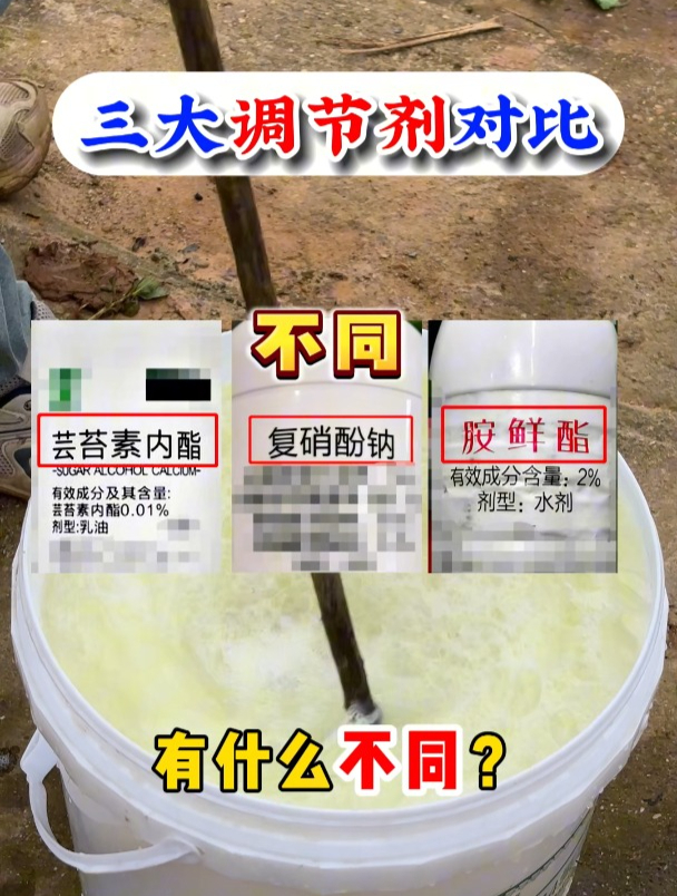 一个视频告诉你三大调节剂到底有什么不同?什么时候用最好?