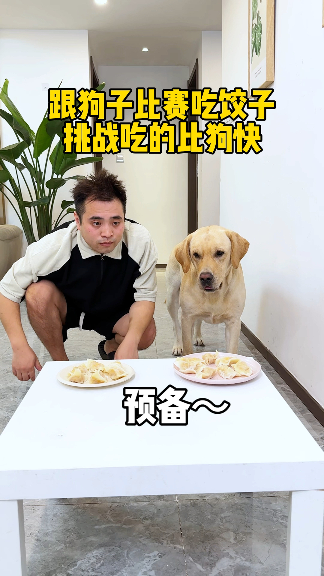 跟狗子比赛吃饺子,挑战吃的比狗快