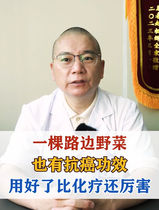 一棵路边野菜,也有抗癌功效,用好了比化疗还厉害