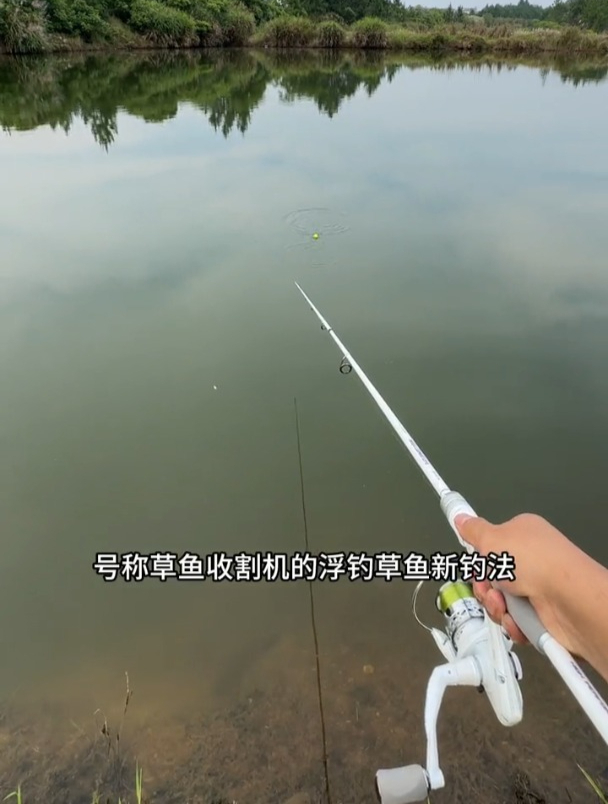 刚下竿几分钟就上一尾20斤大草鱼,钓友究竟用了什么方法?