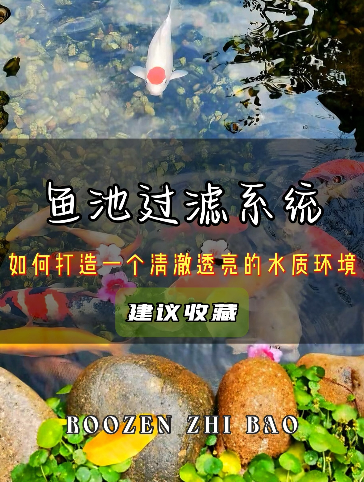 如何打造一个清澈透亮的鱼池水质环境呢