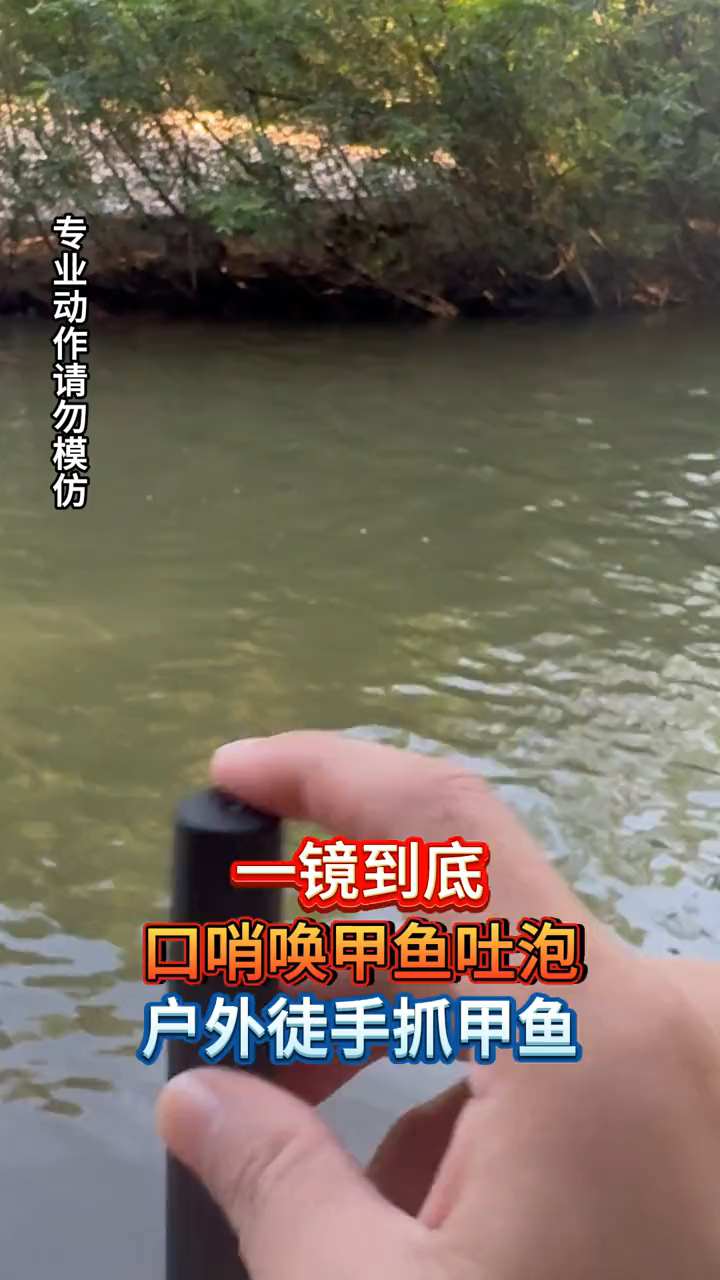 徒手抓甲鱼,甲鱼专用口哨
