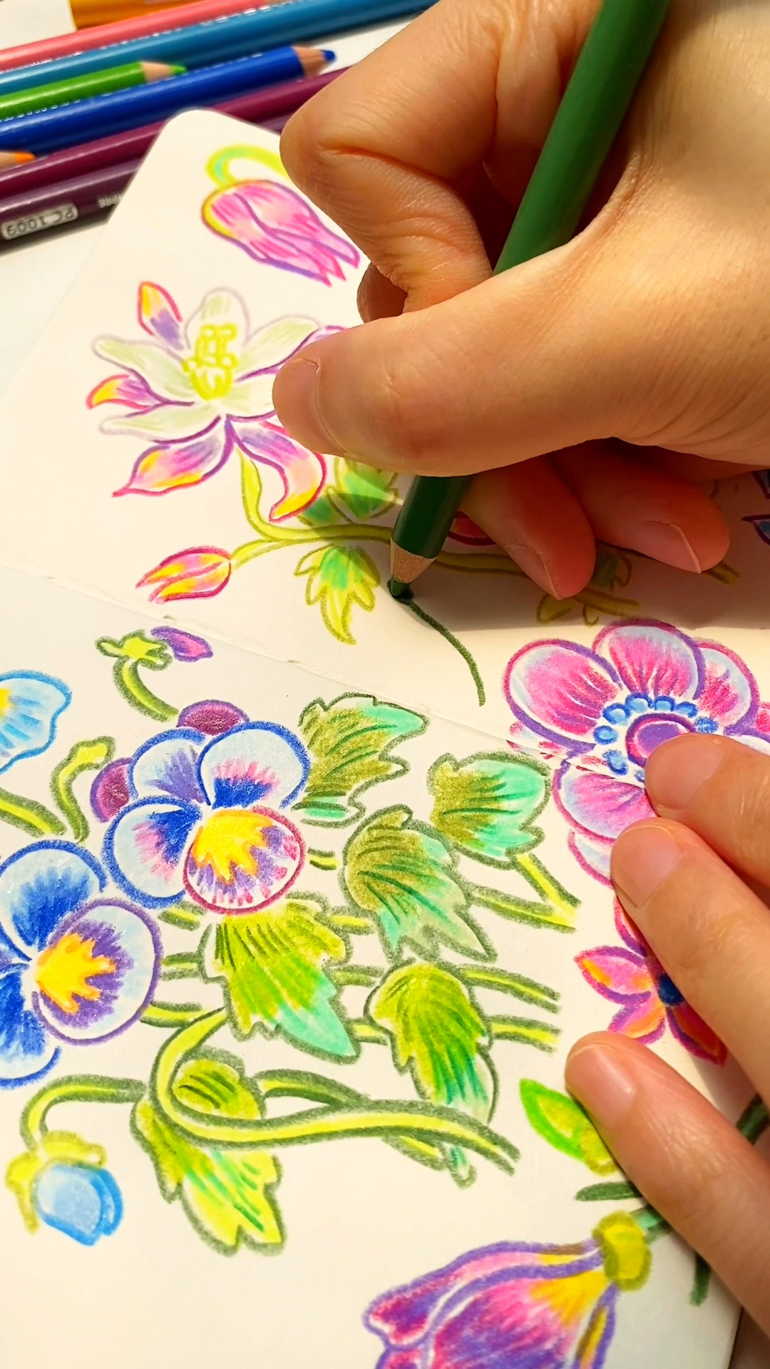 彩铅手绘各种花卉简笔画教程治愈插画