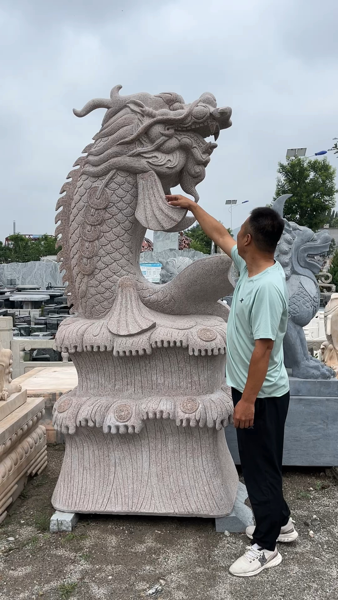 石雕鲤鱼跃龙门 鱼化龙知道什么鱼吗?