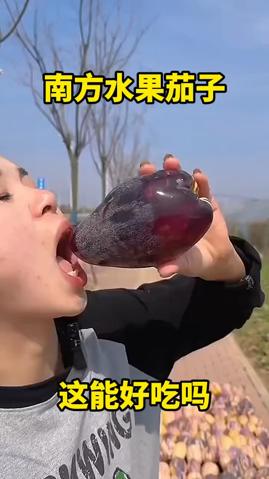 南方的水果茄子啊