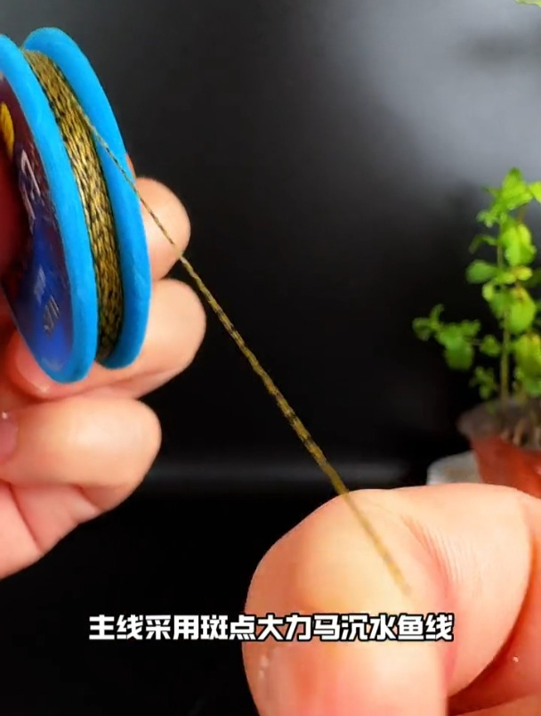 大力马七星漂和普通七星漂有什么区别?2.0号线就能钓30斤鱼?