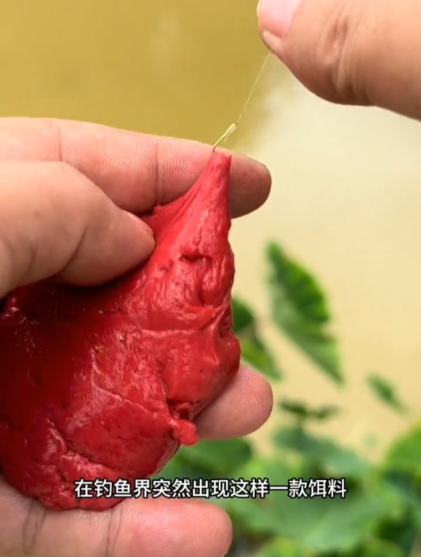 加了红蛆的面筋饵钓溪流石斑马口鱼有什么优势?看完明白了!