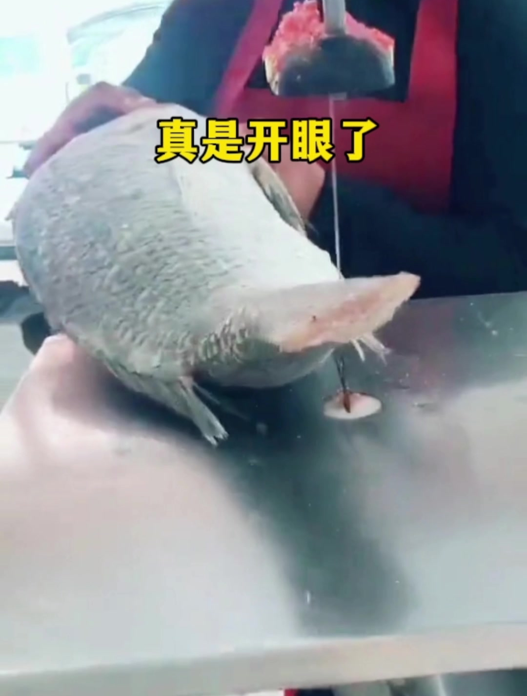 没想到切鱼刀居然这锋利