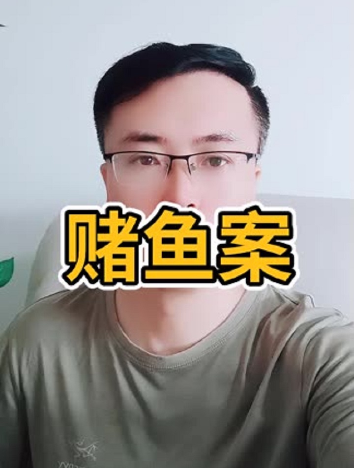 赌鱼案,法律咨询