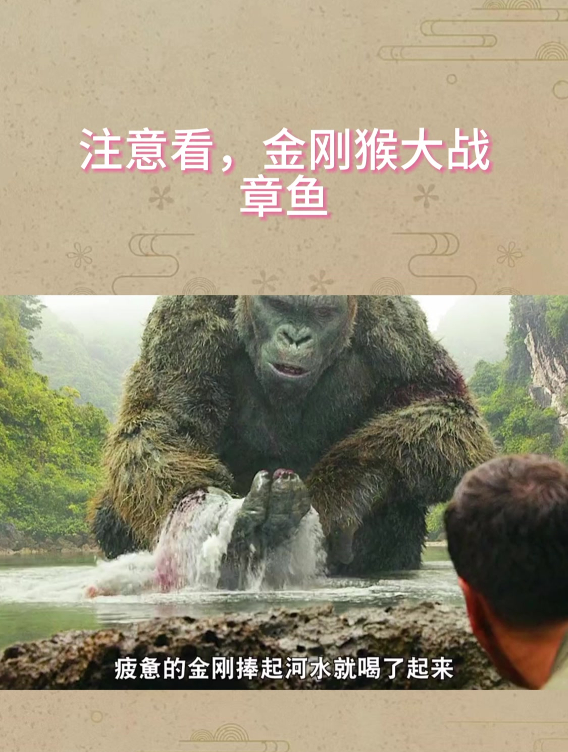 注意看,金刚猴大战章鱼