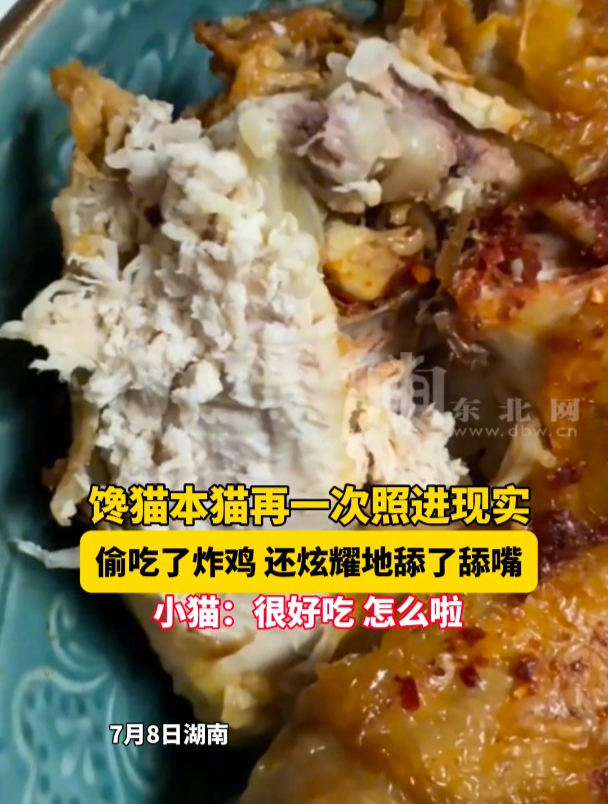 馋猫本猫再一次照进现实,偷吃了炸鸡,还炫耀地舔了舔嘴,小猫:很好吃,怎么啦
