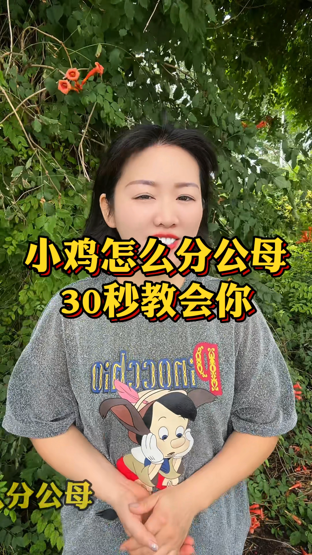 小鸡怎么分公母 30秒教会你