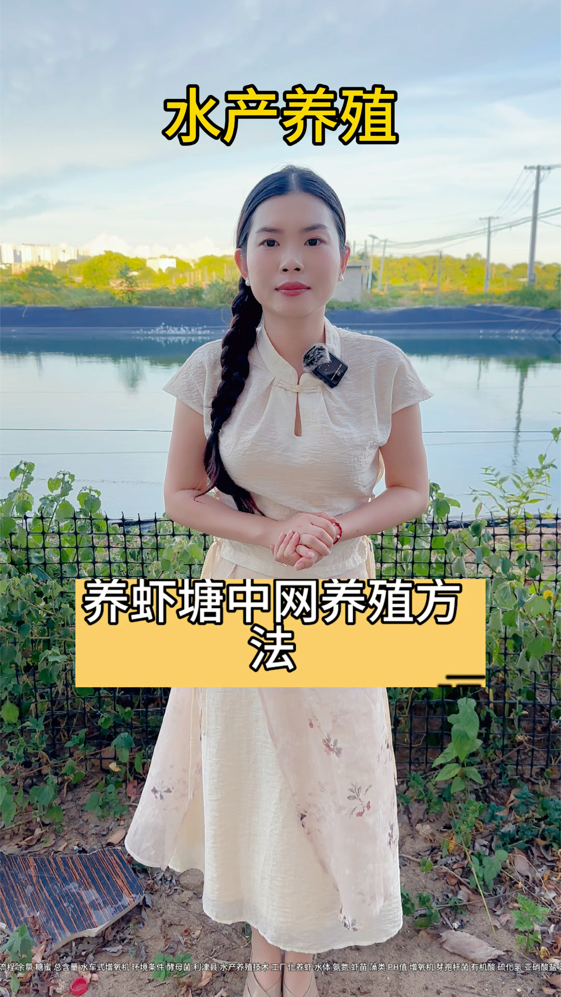 @虾妹 养虾塘中网养殖方法#小龙虾养殖 #水产养殖技术
