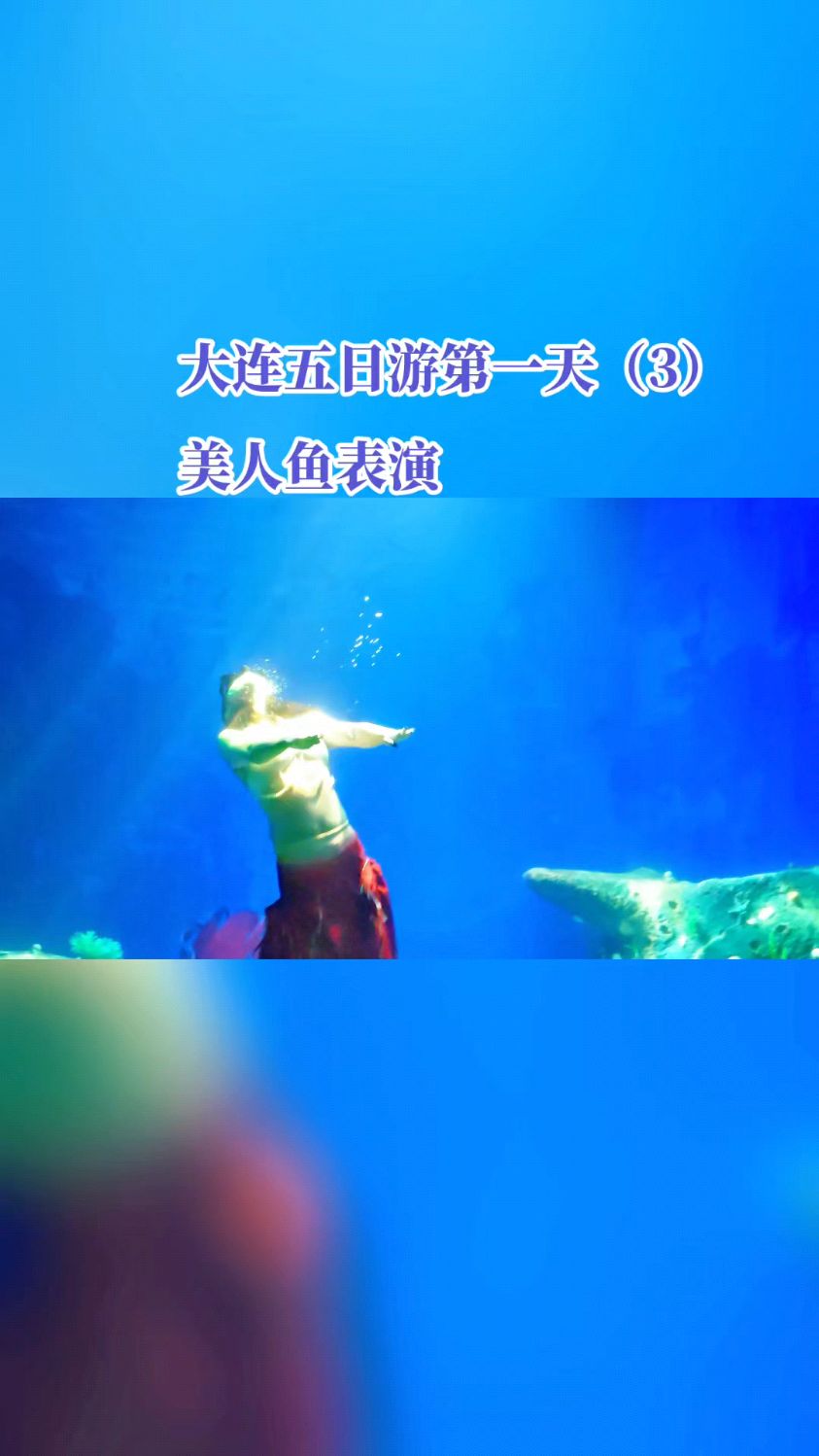 大连五日游第一天(3):美人鱼表演#旅行推荐官 #海洋馆打卡