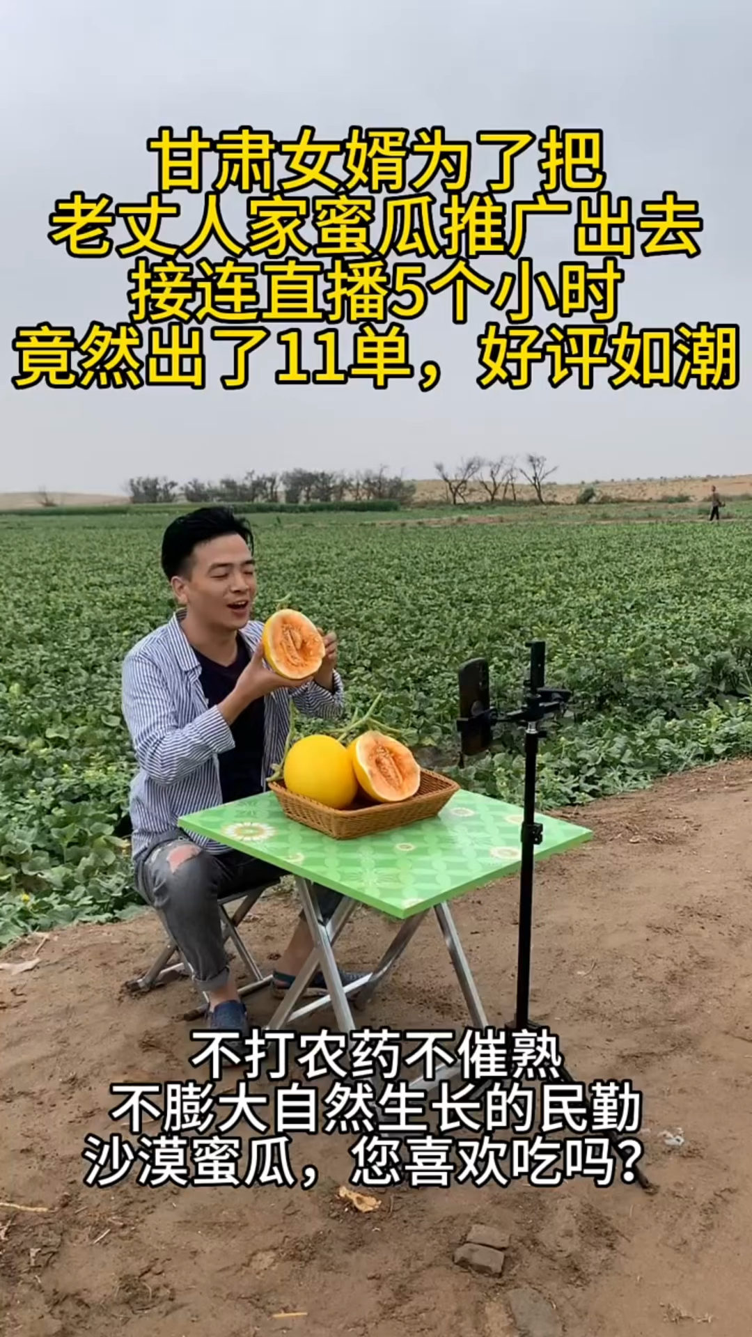 甘肃一外省女婿帮老丈人卖蜜瓜,地头直播5小时,竟然出了11单