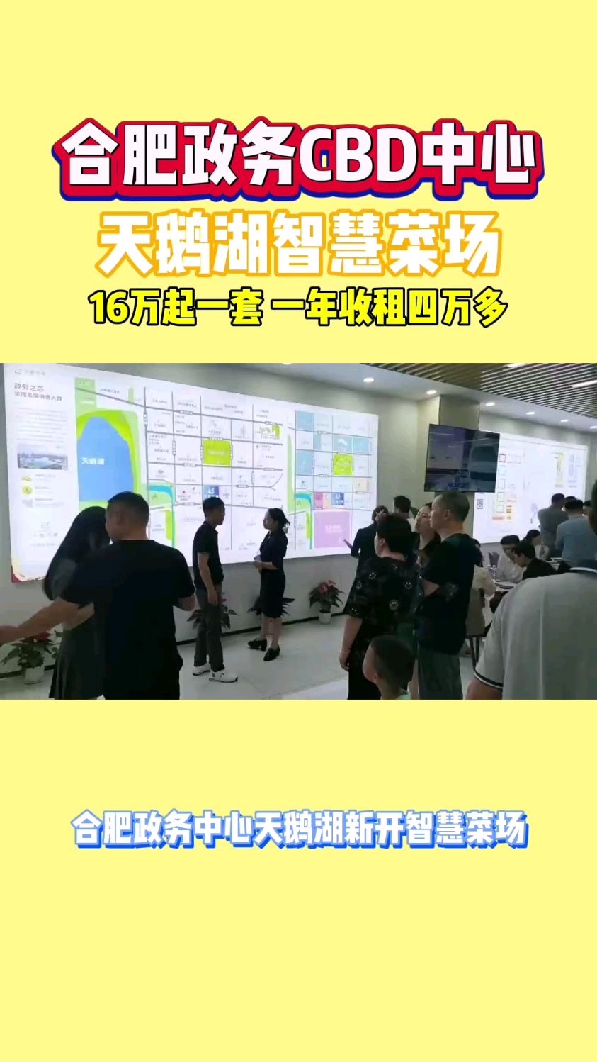 投资优选,合肥政务区天鹅湖核心菜市场,总价16万起,火爆抢购中