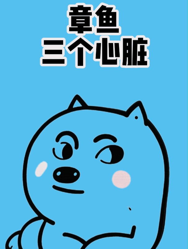 什么?章鱼竟然有三个心脏!我不会是最后一个知道的吧
