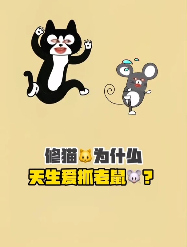 猫为什么喜欢抓老鼠?
