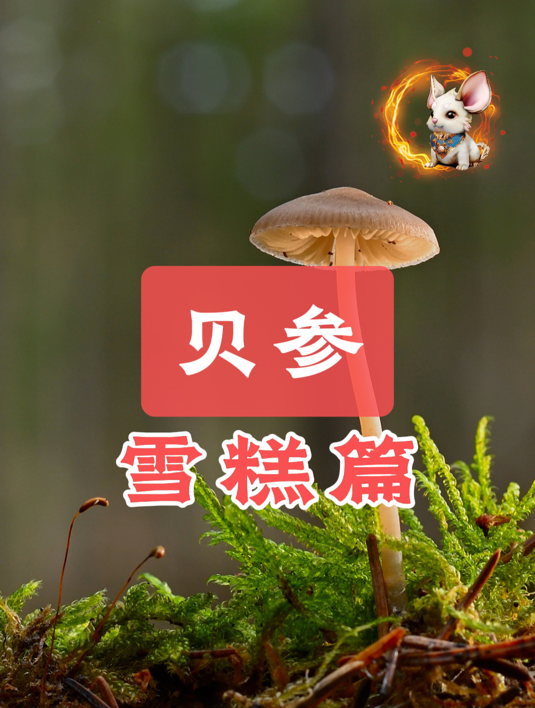 夏天吃雪糕,这些雪糕的热量你一定要知道!