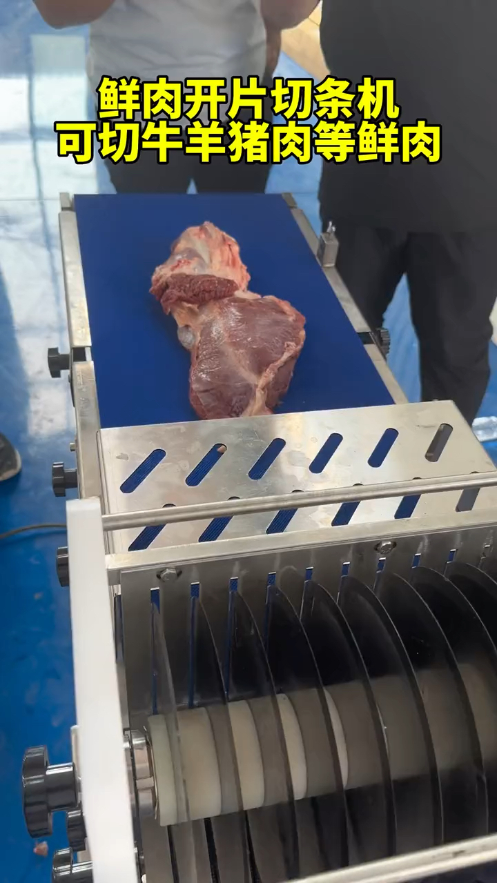 鲜肉开片切条机 全自动切块机 自动切块机