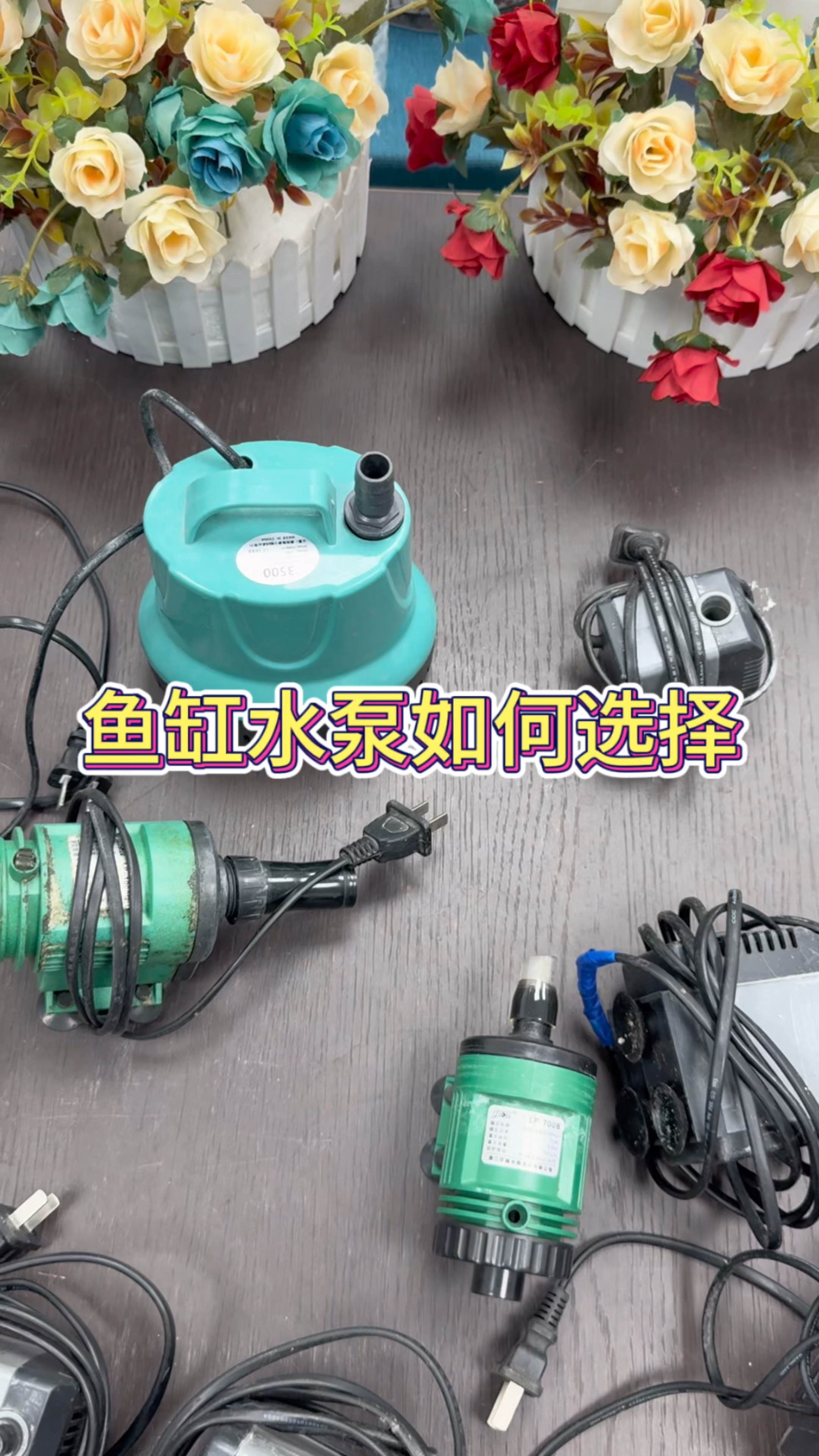 怎样挑选鱼缸抽水泵?其实选起来并不困难#水泵#过滤系统 #水族