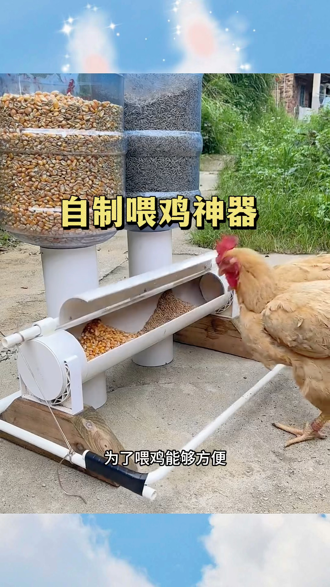 自制喂鸡神器,太方便了